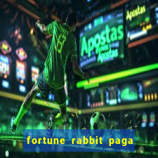 fortune rabbit paga mesmo Informational